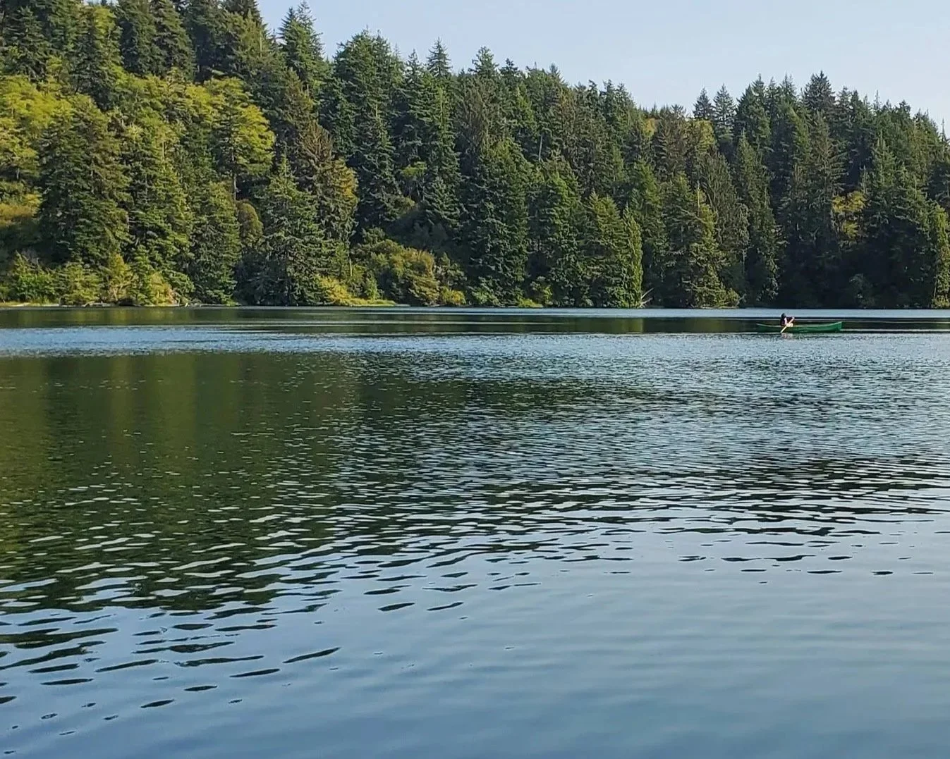 Canoe pictured near shore of an Oregon lake
