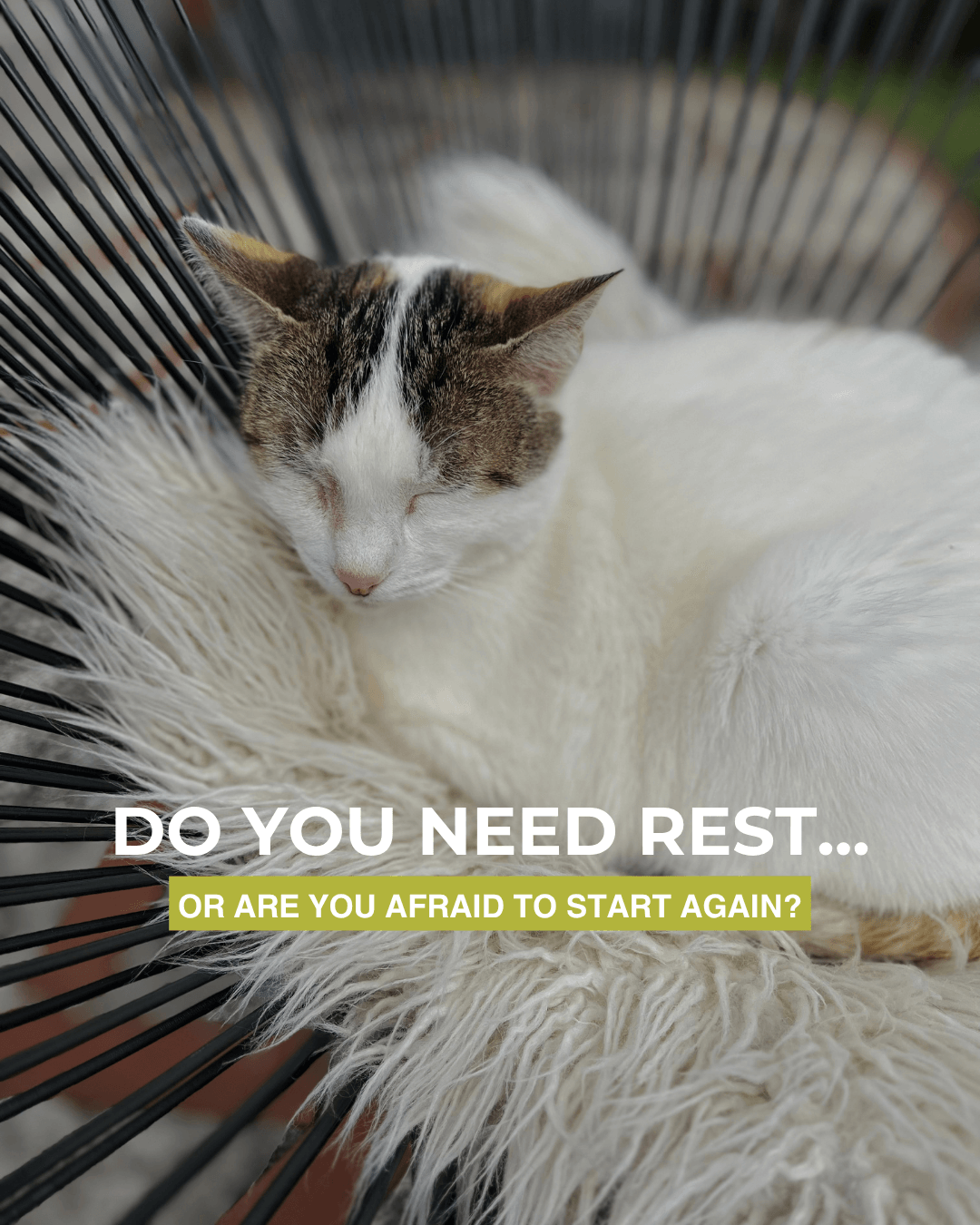 Is your body truly asking for rest today—