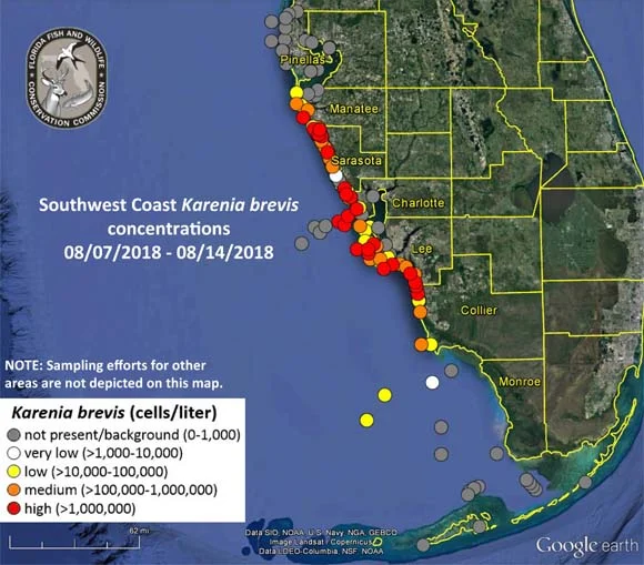 swmap0815.jpg