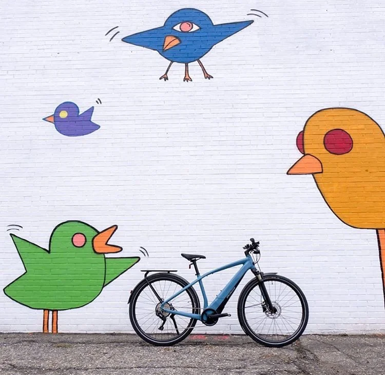 E-Bikes Are Getting Everyone's Attention!