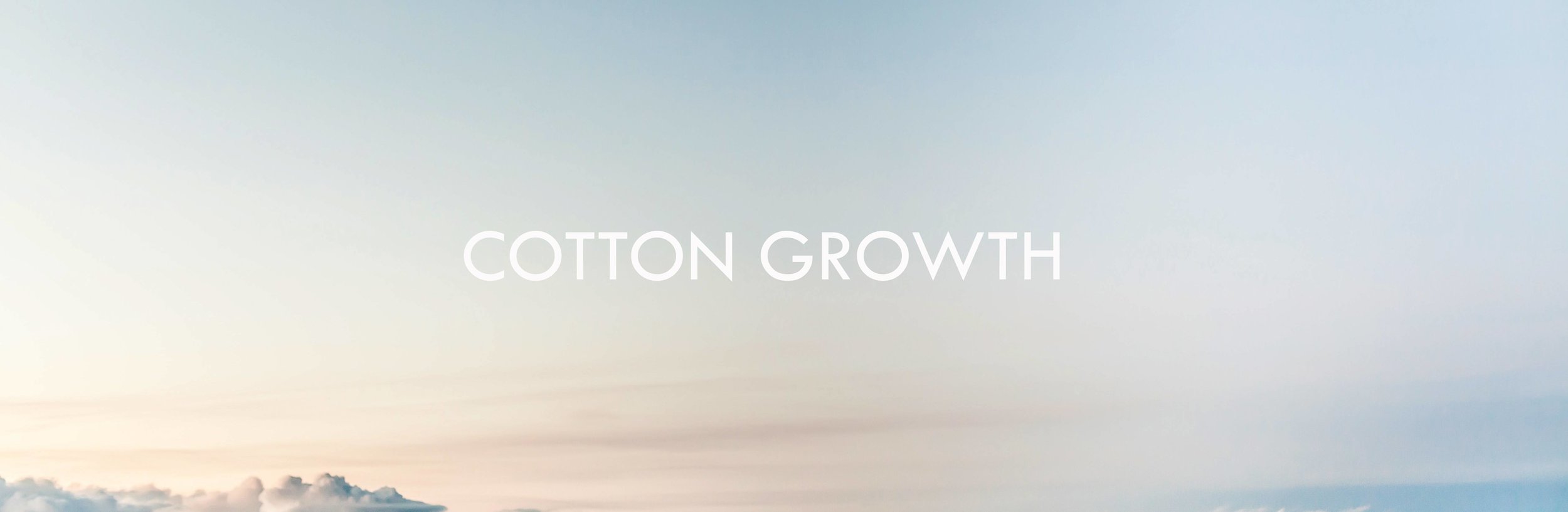 cotton_growth_final.jpg