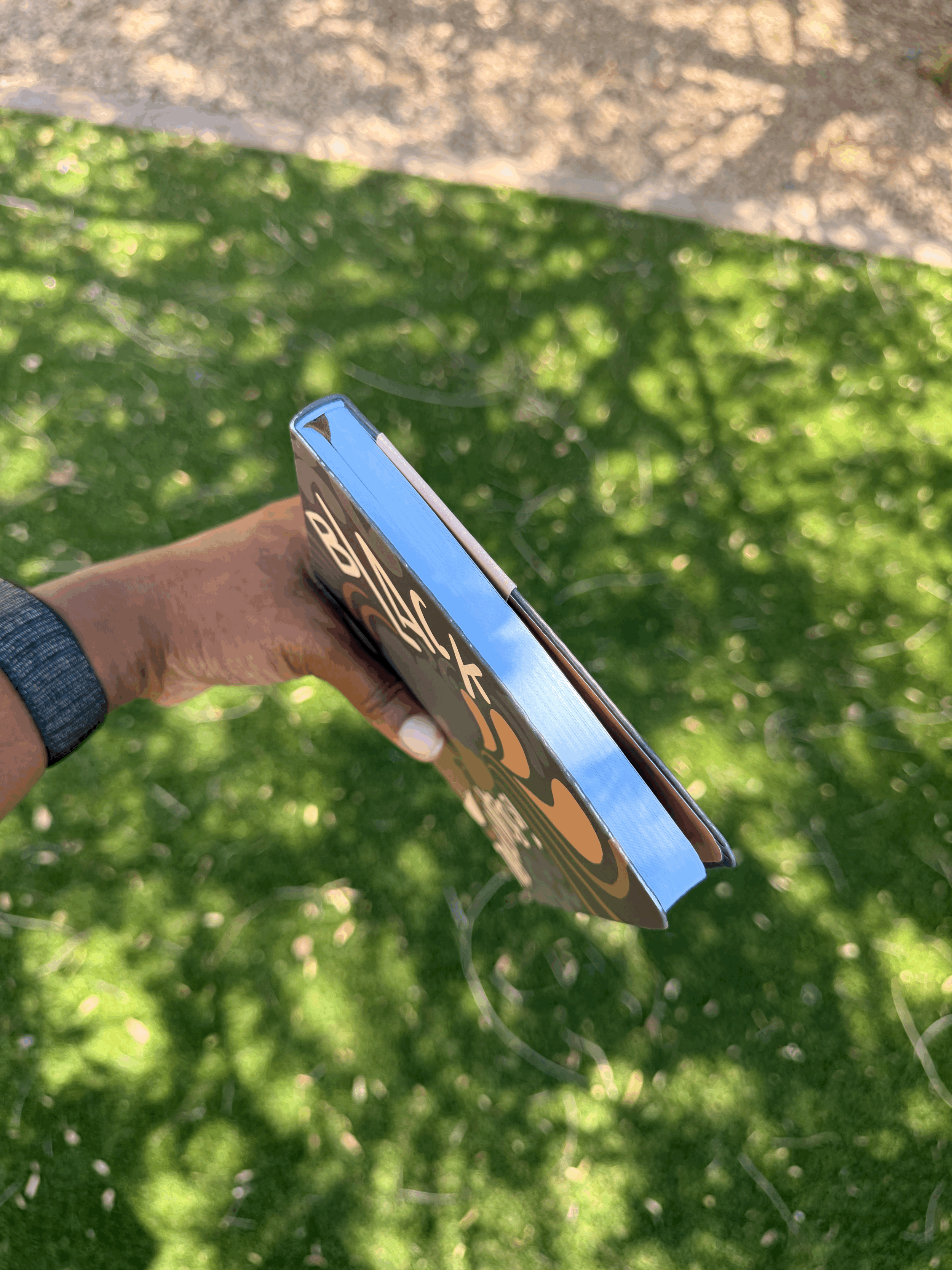 tempImageCPngch.gif (Copy)