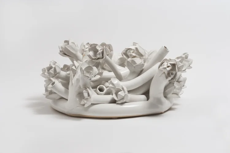 From the Flora Series: Flowers in White #2: