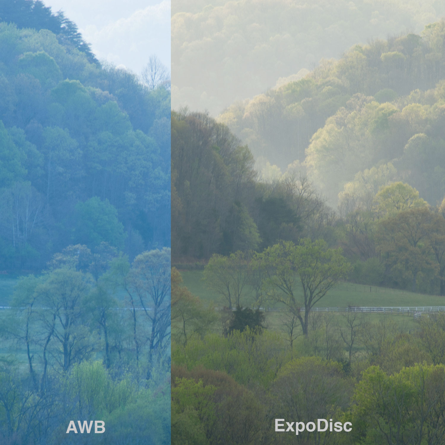 ExpoDisc-landscape-before-after.jpg