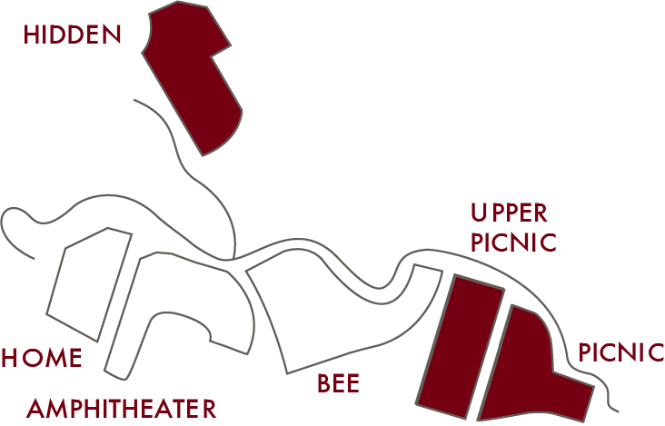 Map of a park with labeled areas including a hidden section, home, amphitheater, bee, upper picnic, and picnic.
