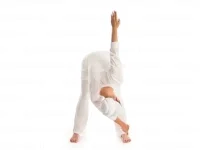 Healthybowel 3.jpg