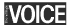 static1.squarespace-1.png