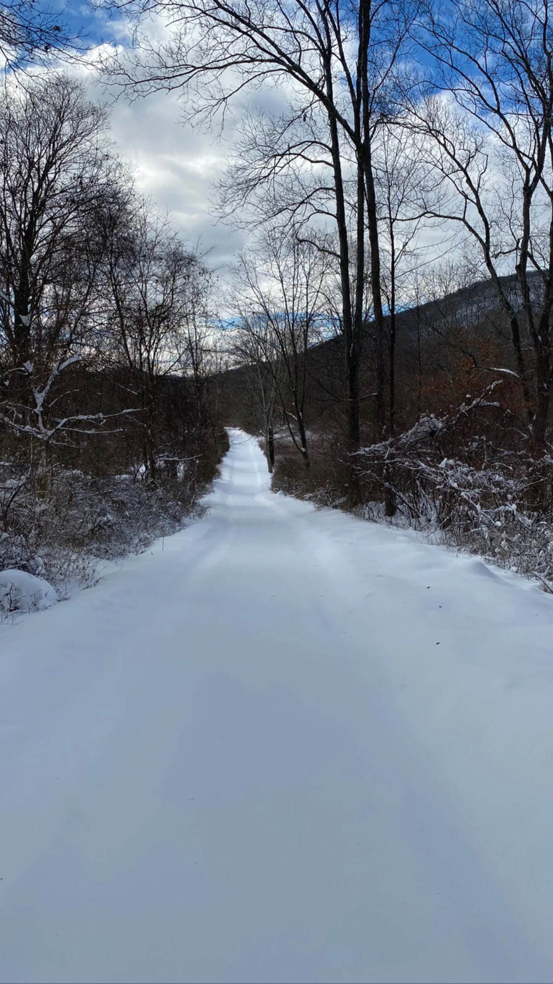 Winter Solstice Reiki Meditation for Clearing