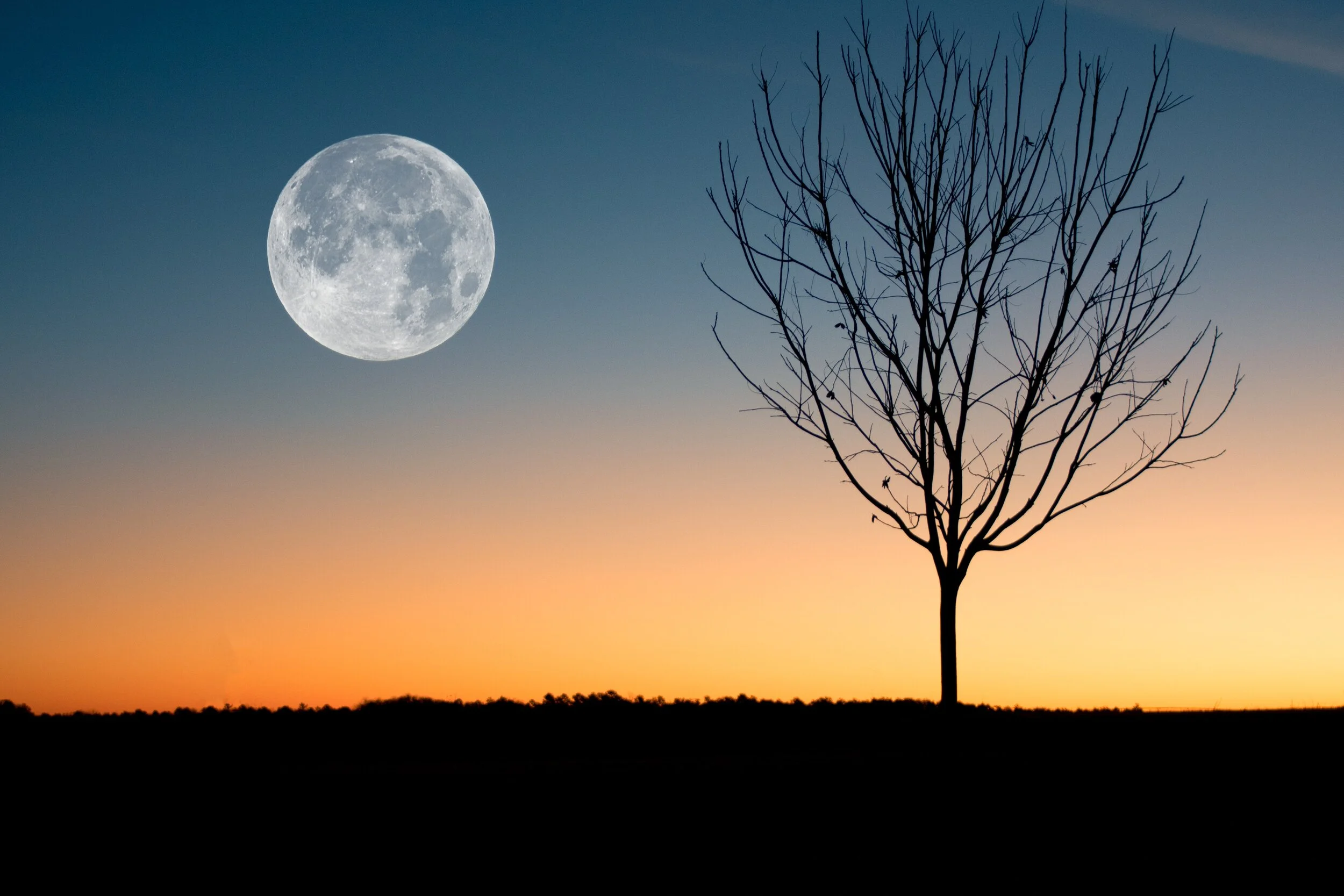 Full Moon in Leo