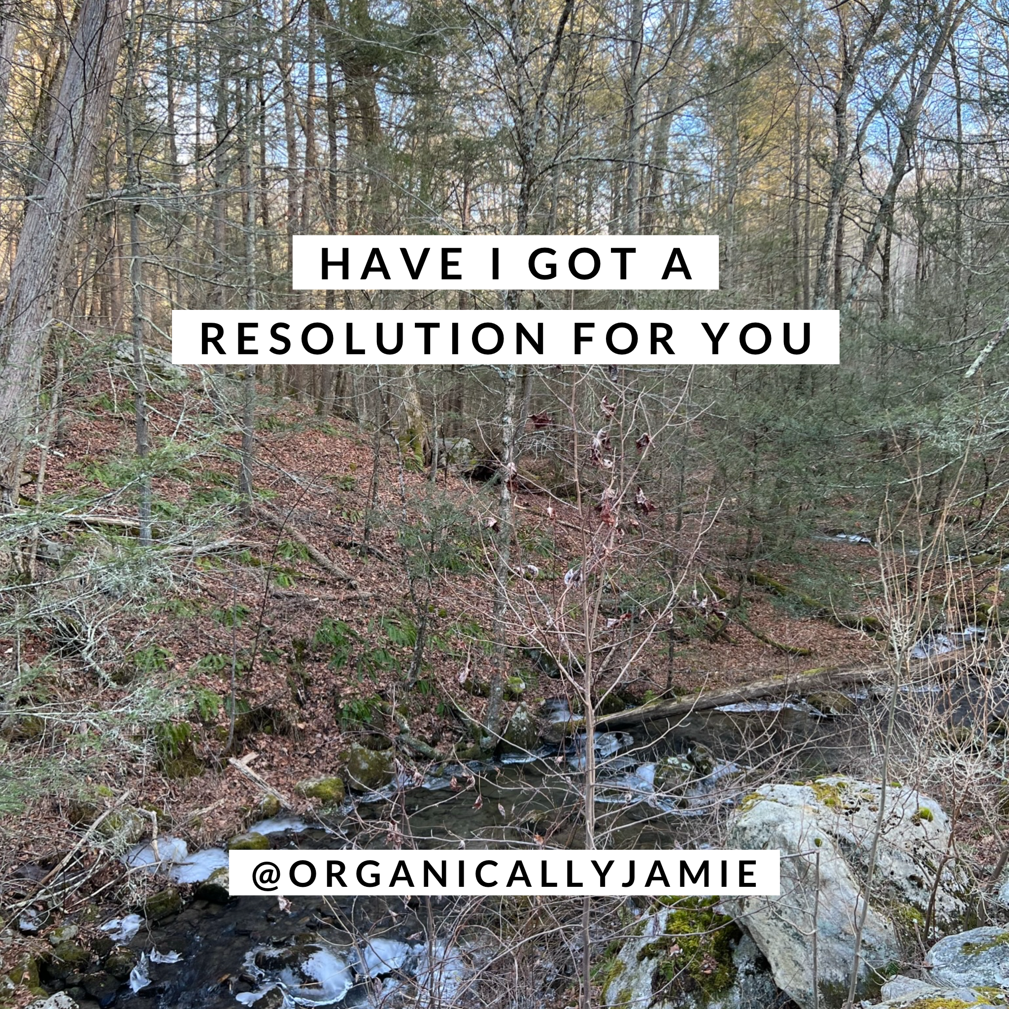 Have I got a resolution for you…