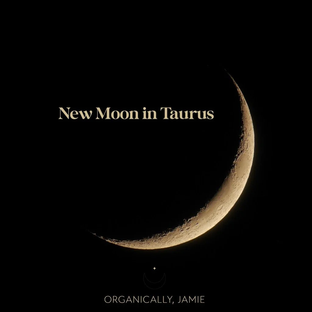 New Moon in Taurus