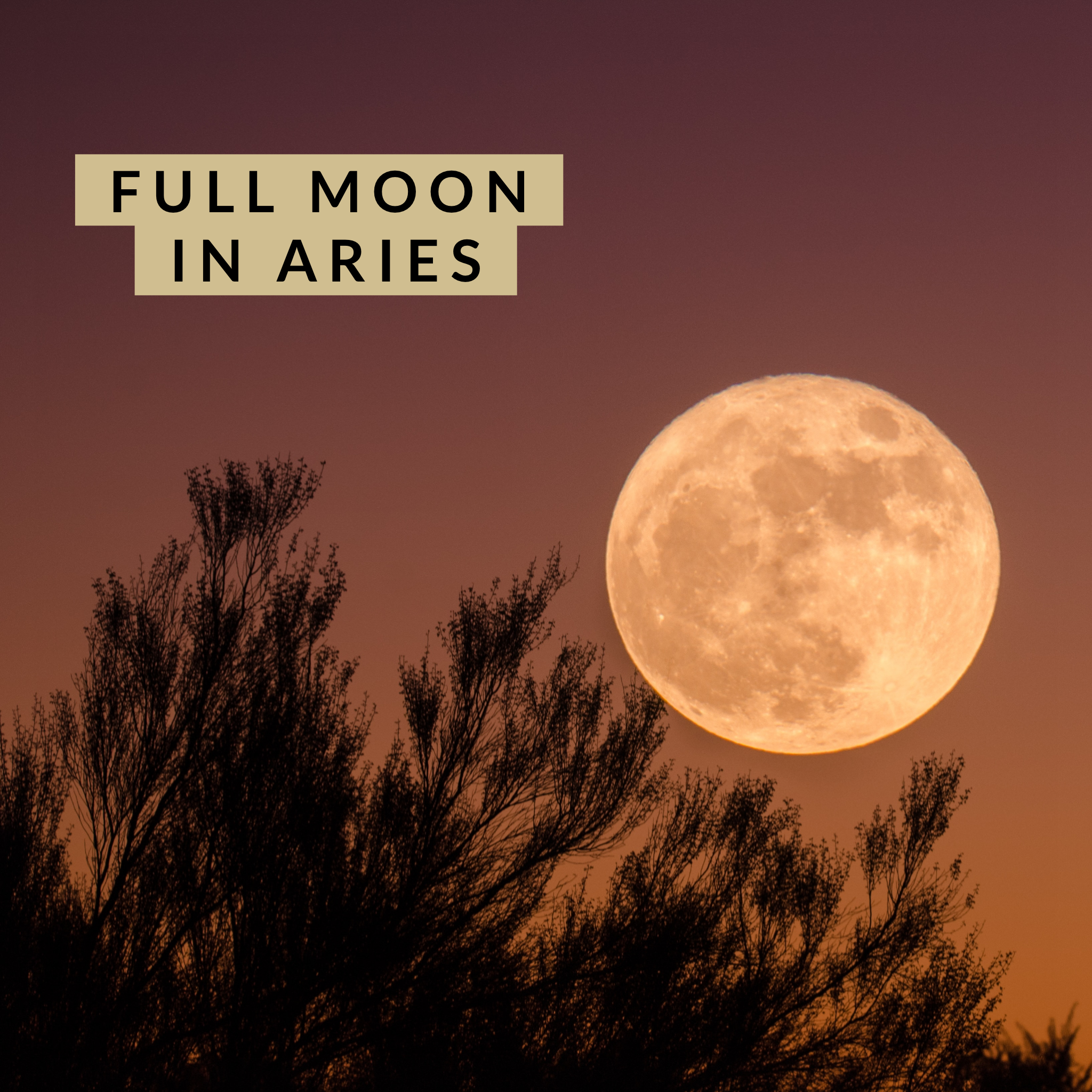 Full Moon in Aries - Living in Your Purpose...