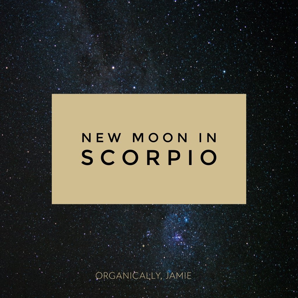 New Moon in Scorpio -Rising from the Ashes 