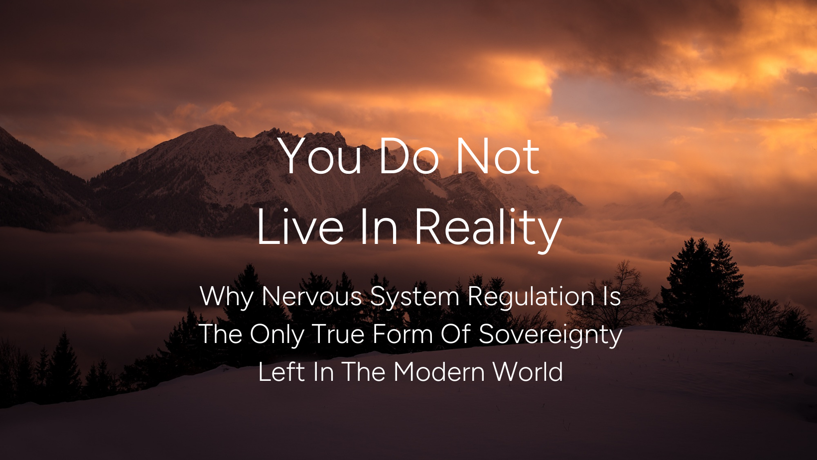 You Do Not Live In Reality