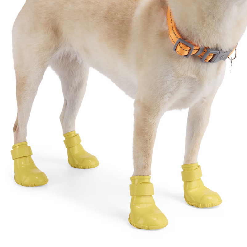 Screenshot 2026-01-25 at 5.31.53 PM.png