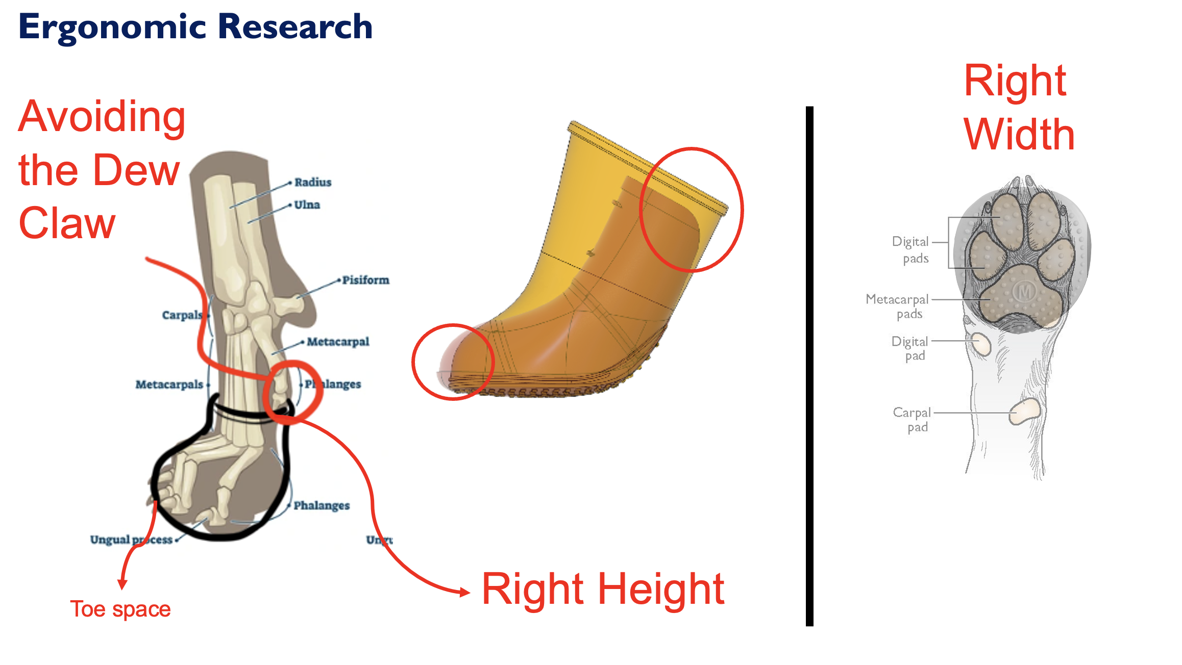 Screenshot 2026-01-25 at 5.51.35 PM.png