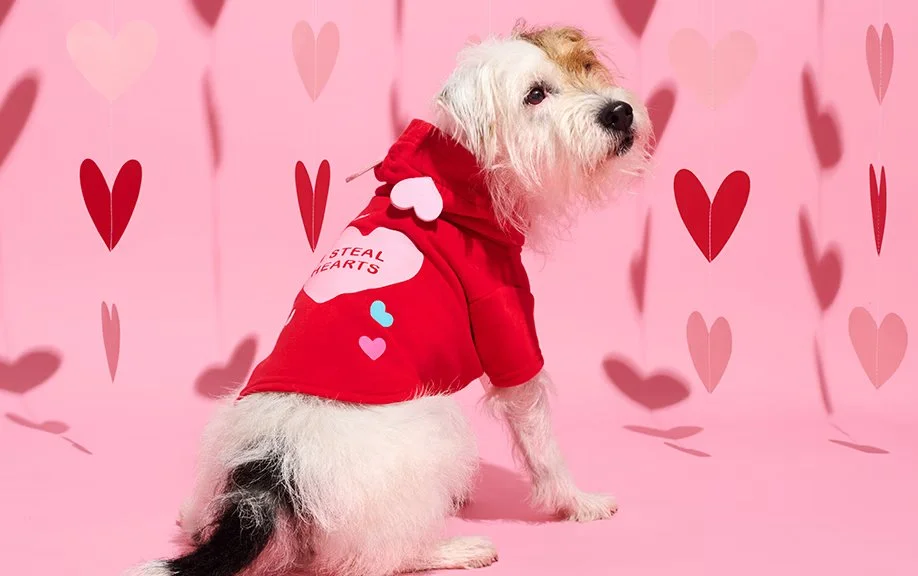 valentines-day-shop_cb_dog-background_306x192 copy.jpg
