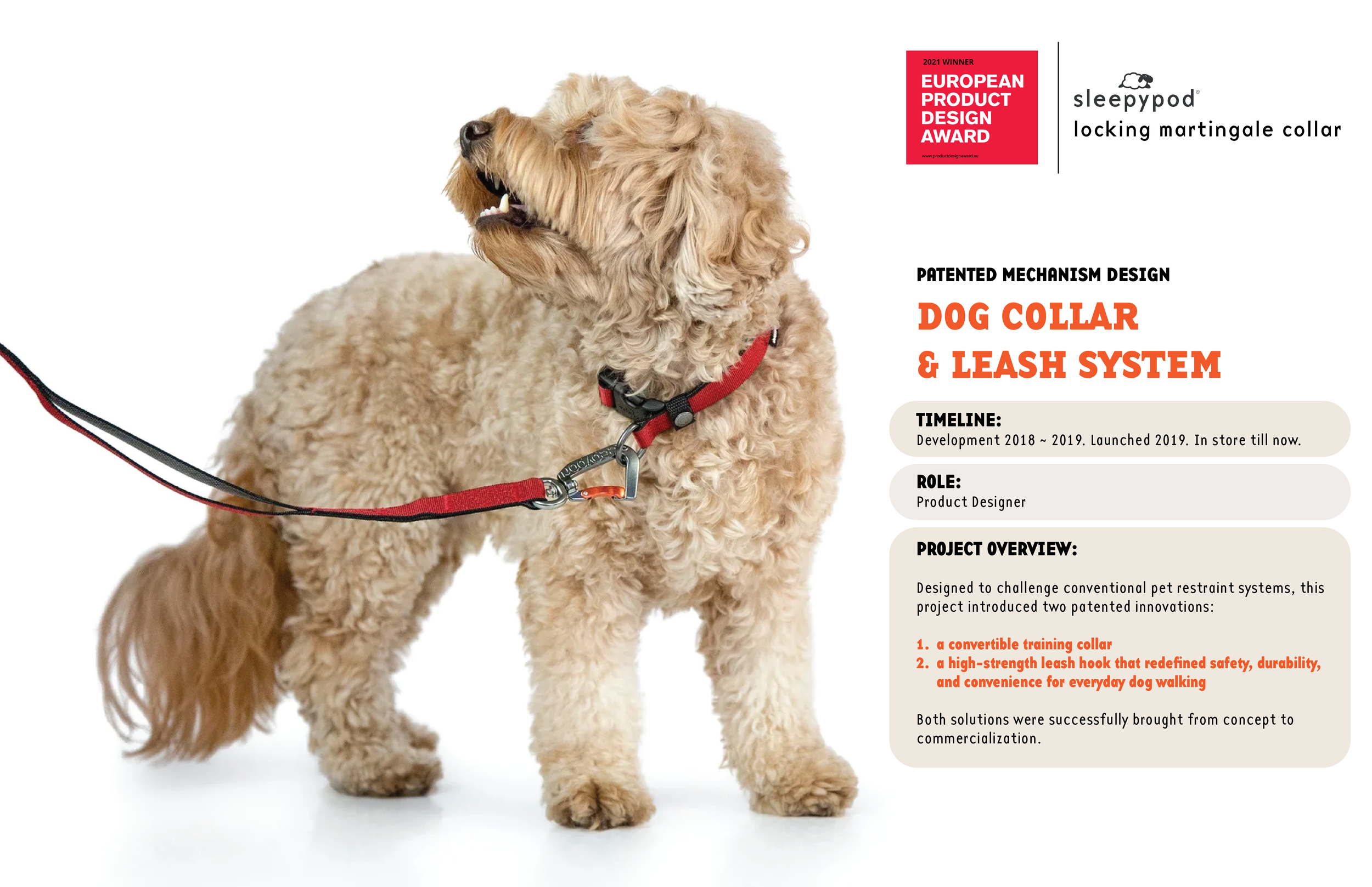 collar and leash.png