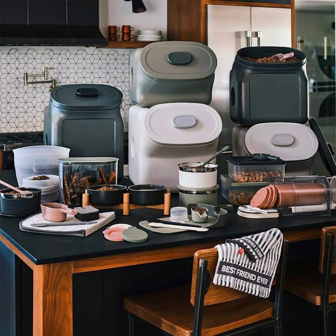 Reddy Collection.jpg