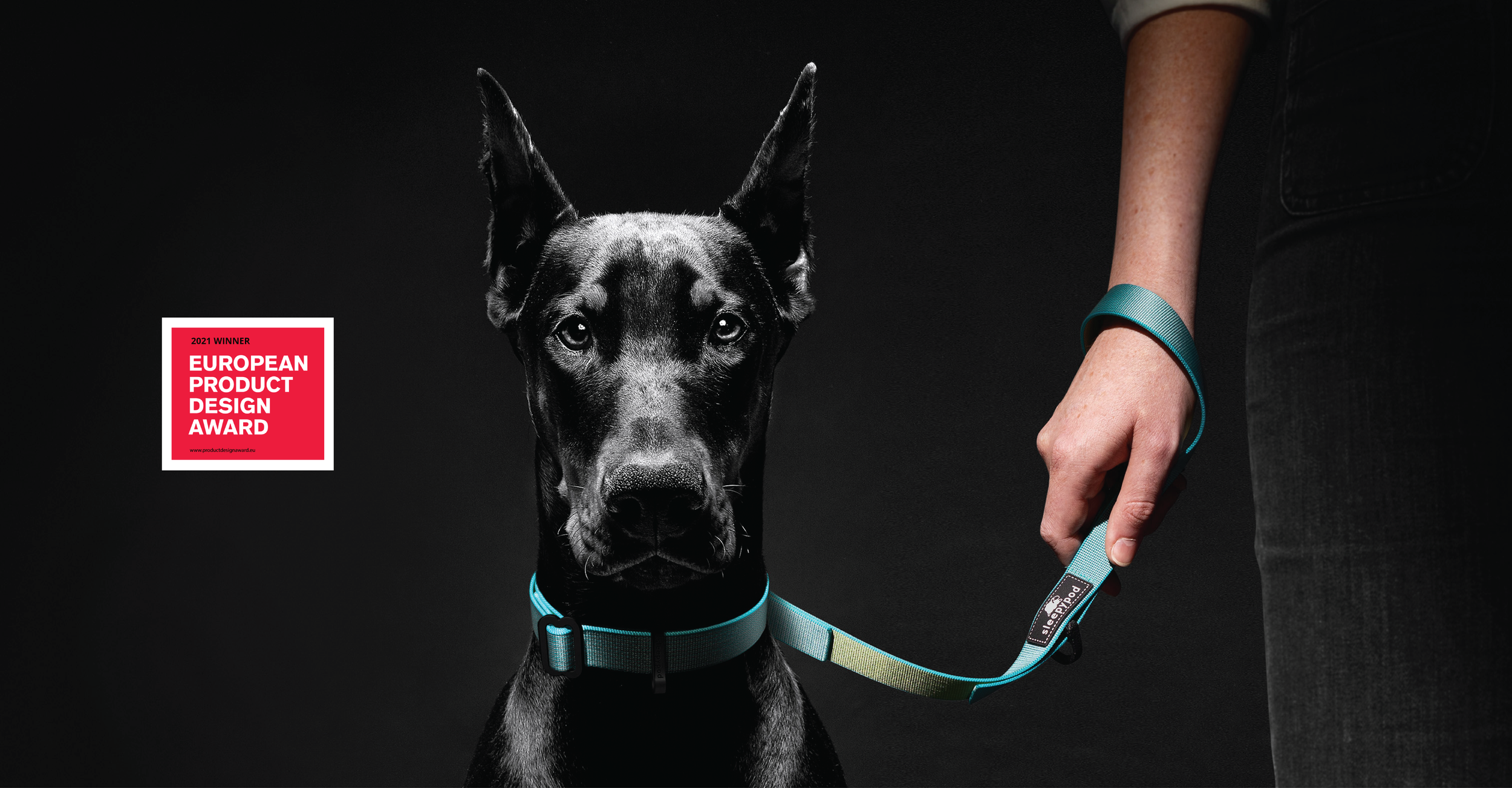 collar and leash-00.png