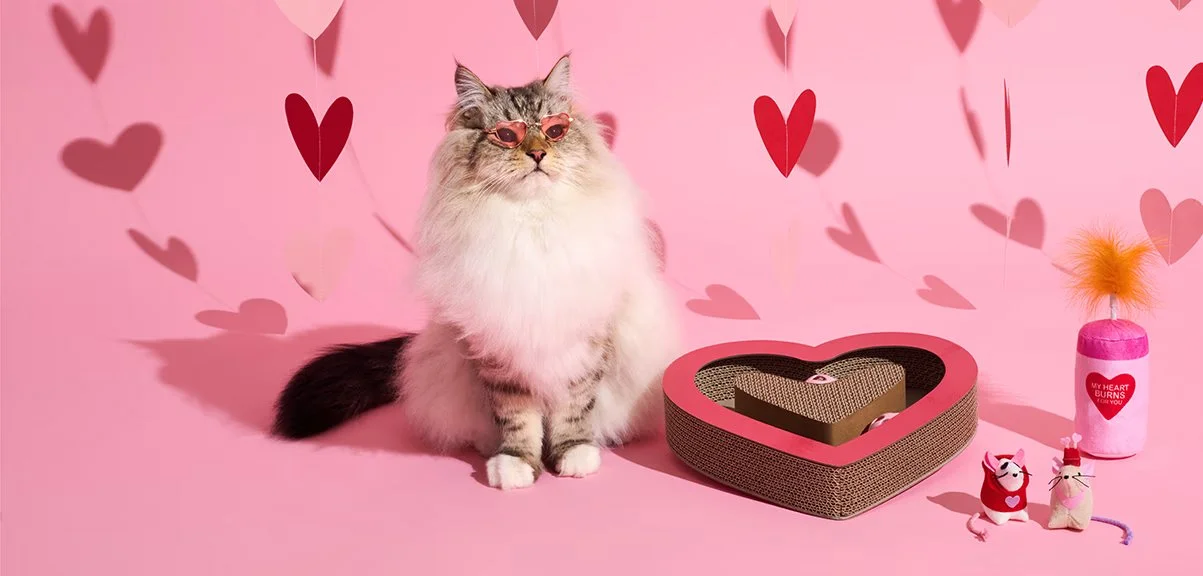 valentines-day-shop_cb_cat-background_401x192 copy.jpg