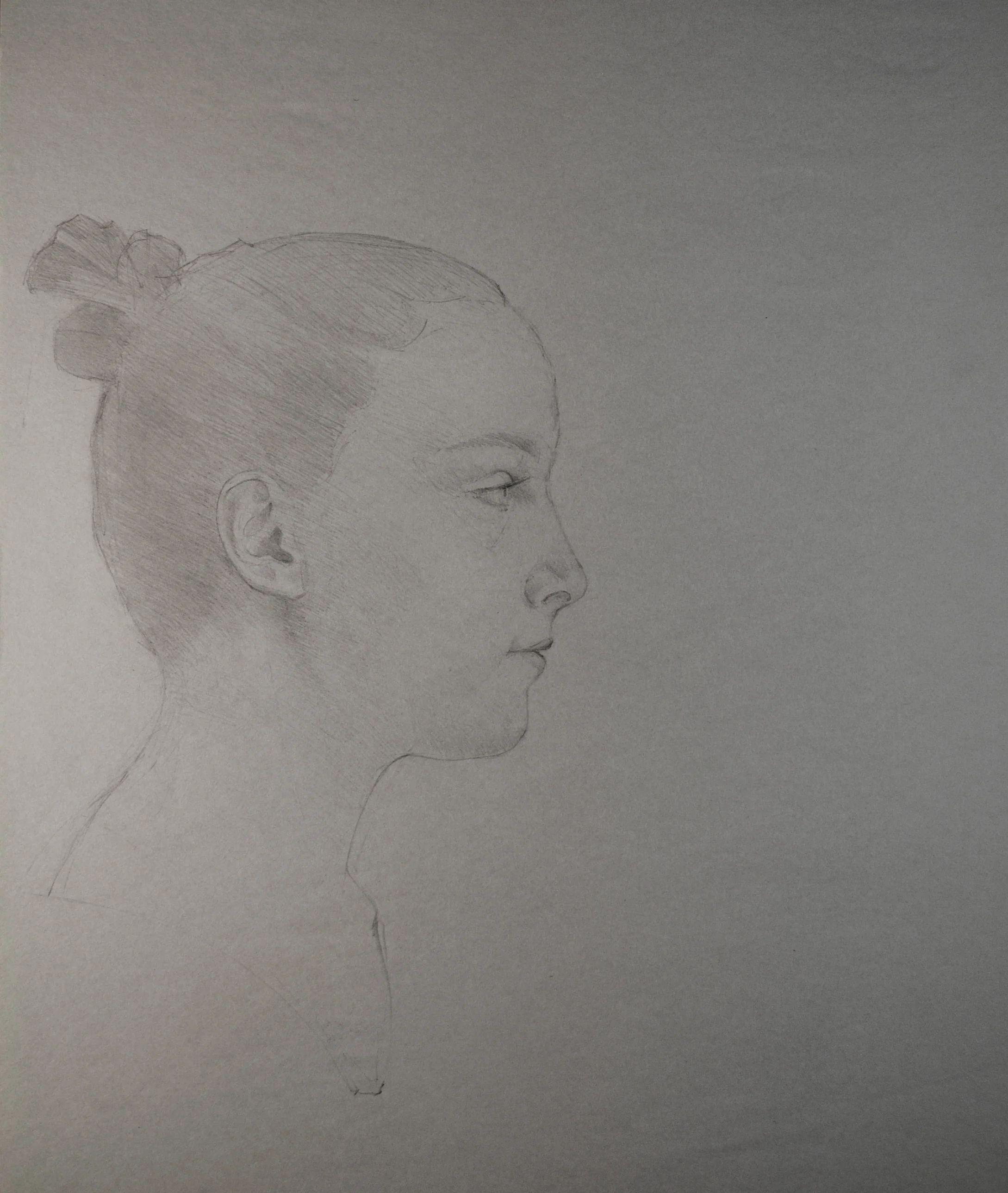  Lily 2016  Graphite on Newsprint  24 x 30" 