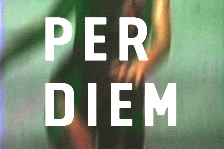 perdiemthumb.gif