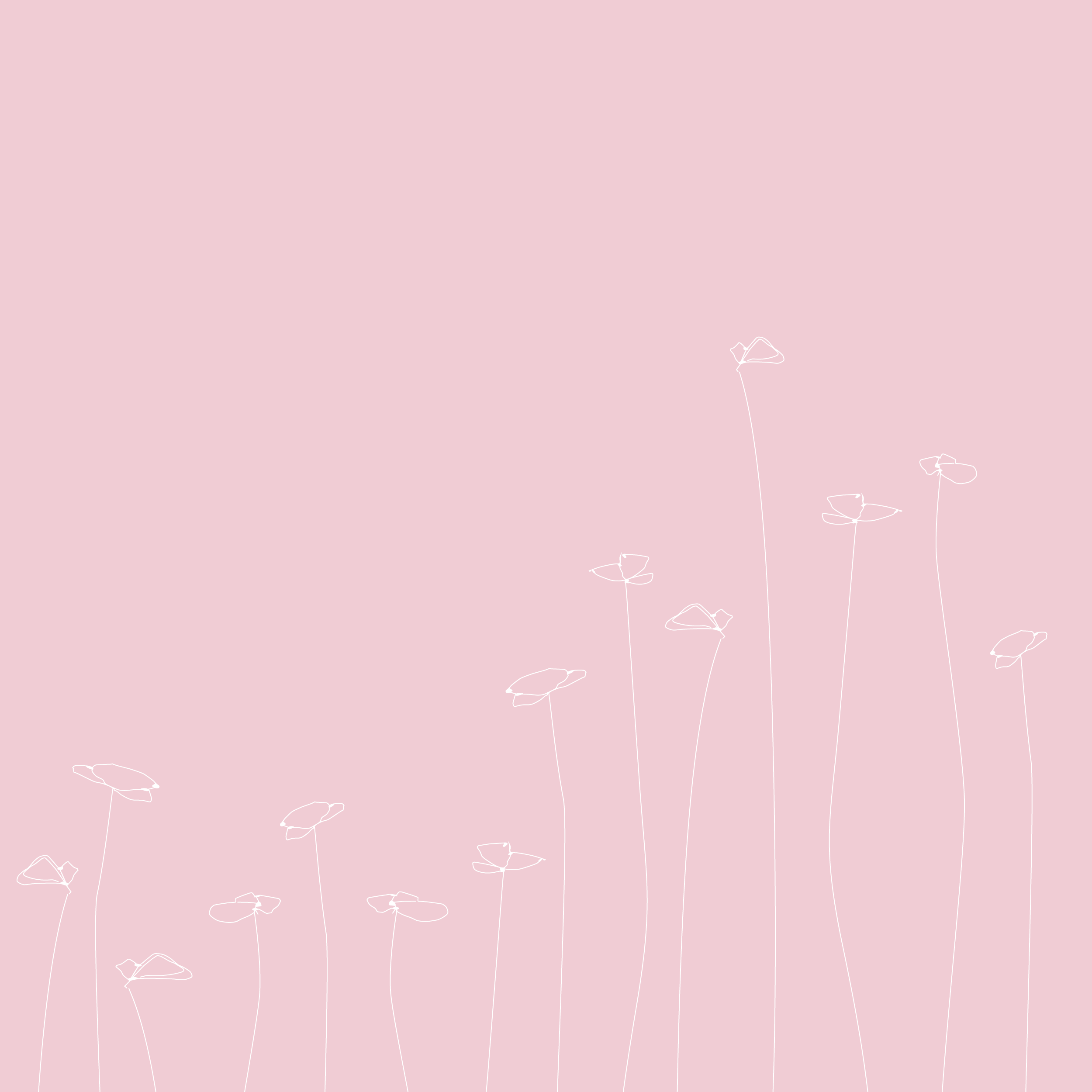 Floral-Background.png