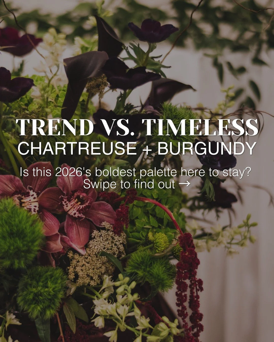 Chartreuse and burgundy was one of the most talked-about color combinations at the 2026 Seattle Wedding Show &mdash; and if it's yours, we are HERE for it. 🌿🍷✨

Is it a fleeting trend or a timeless classic? Swipe through for our honest take, plus s