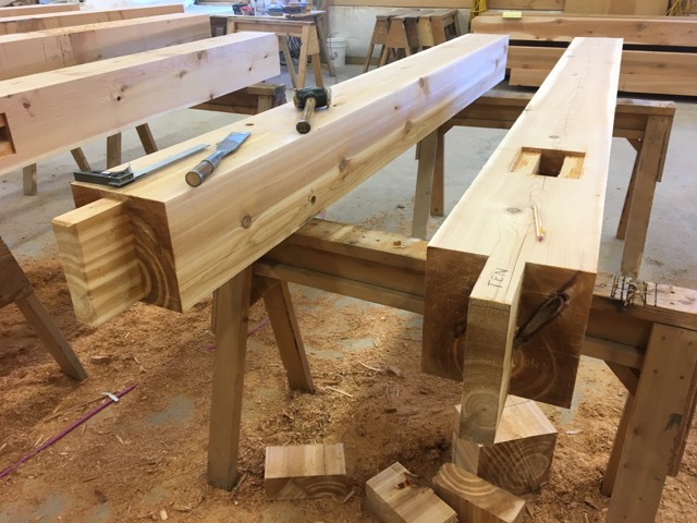 Shop - 1 of 12 (8).jpg