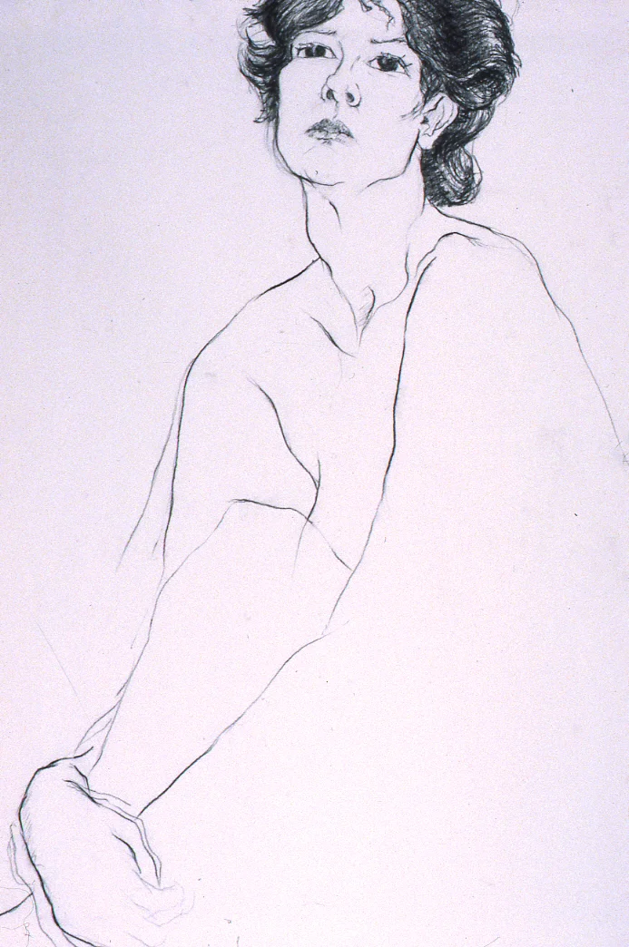 Untitled charcoal 26x40" April 1984