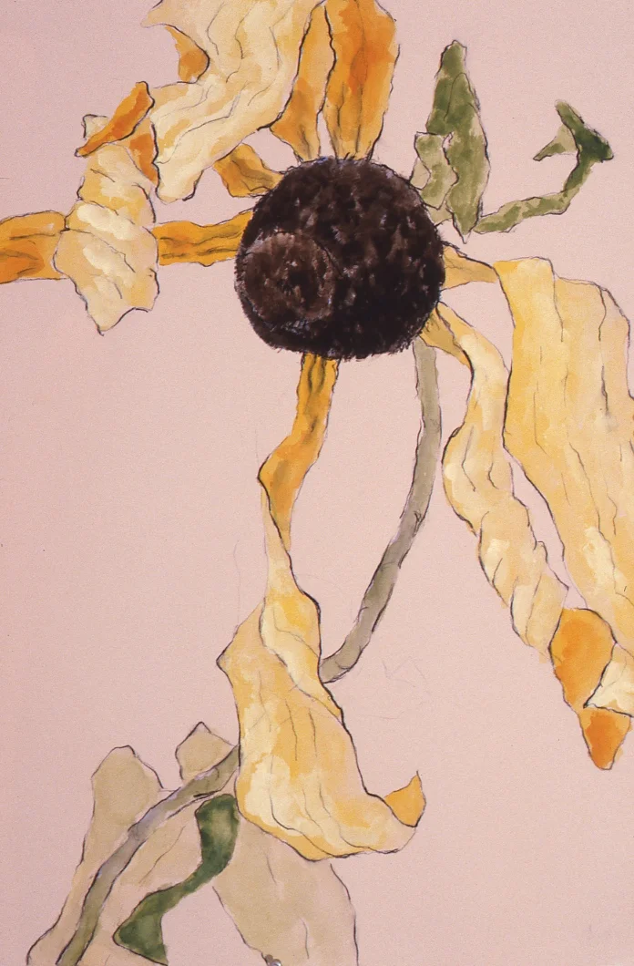 Black-Eyed Susan gouache/watercolor 30x22" 1981