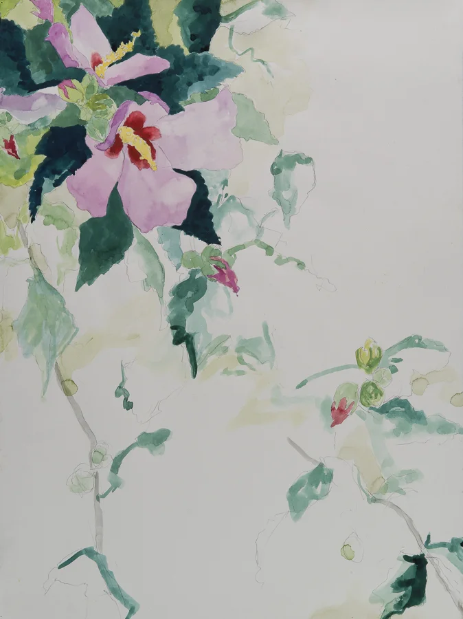 Rose of Sharon gouache/pencil 30x22" Sept 2007
