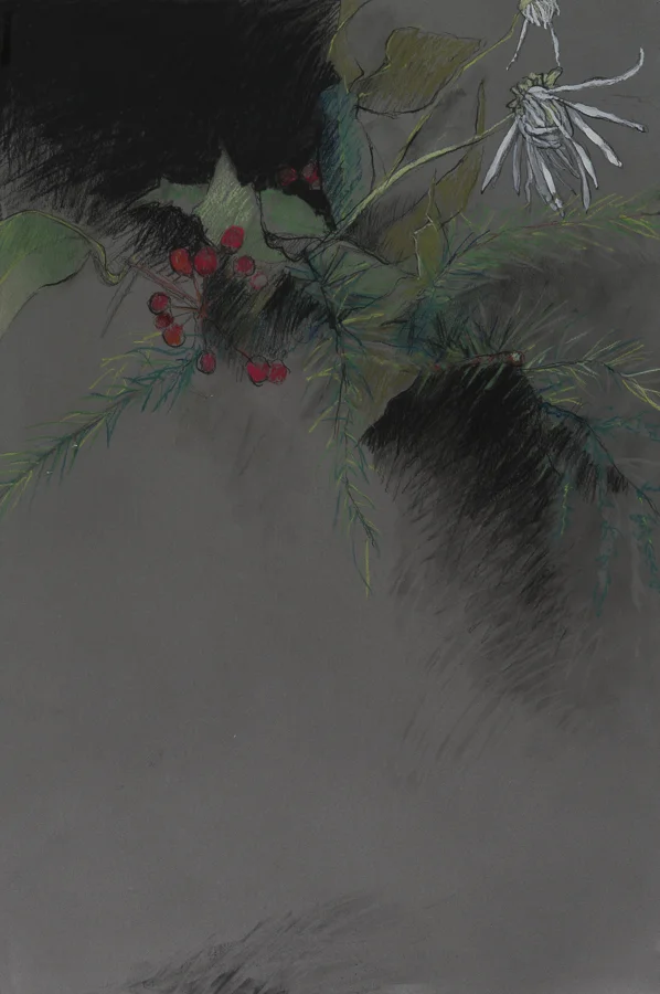 Christmas Flower conte/nupastel/gouache 30.75x20.75" 15 Jan 2008