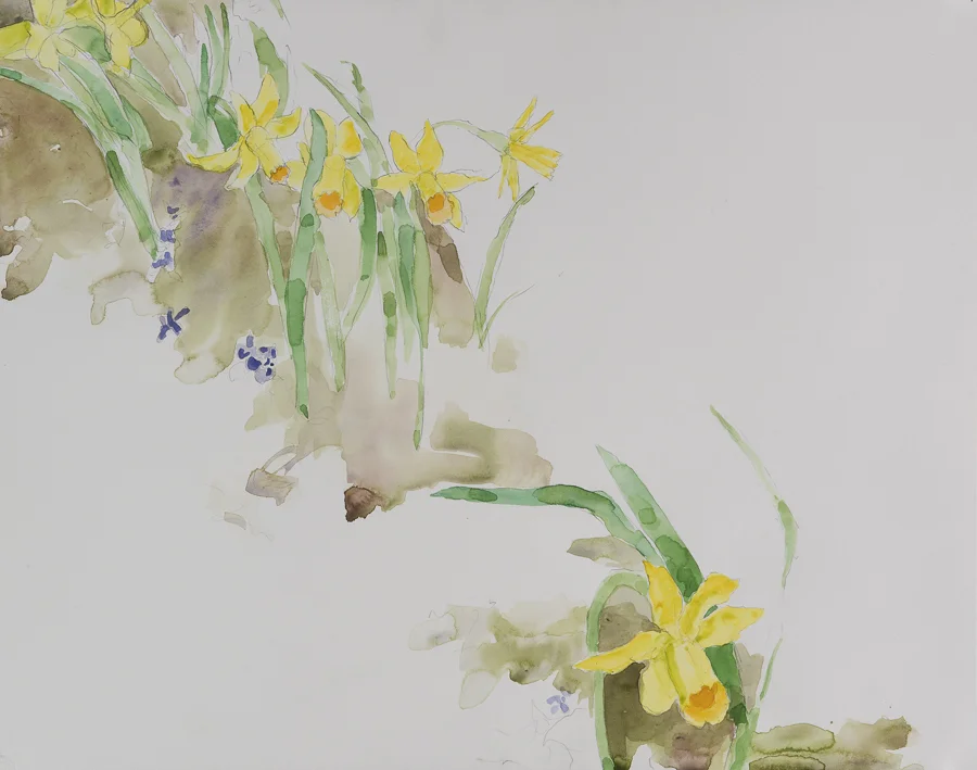 Spring Bulbs watercolor/gouache 30x22" 11 April 2008