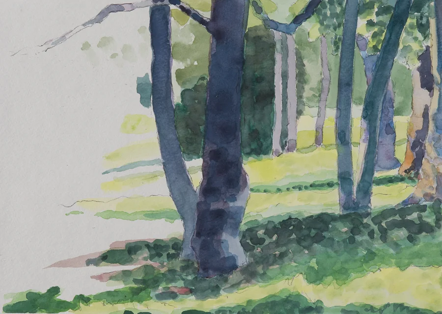Overton Park watercolor 11x14.5" Fall 2008