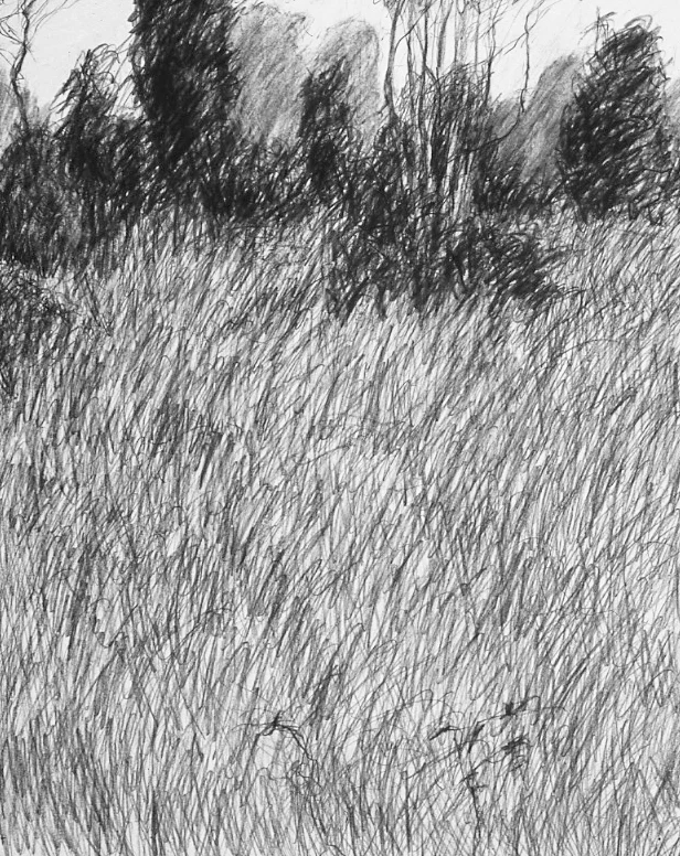 Landscape conte/charcoal 28.25x22" March 1995