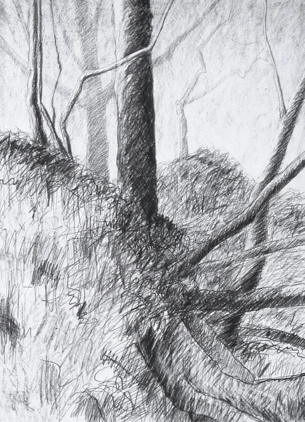 Landscape conte 30x22" March-May 1995