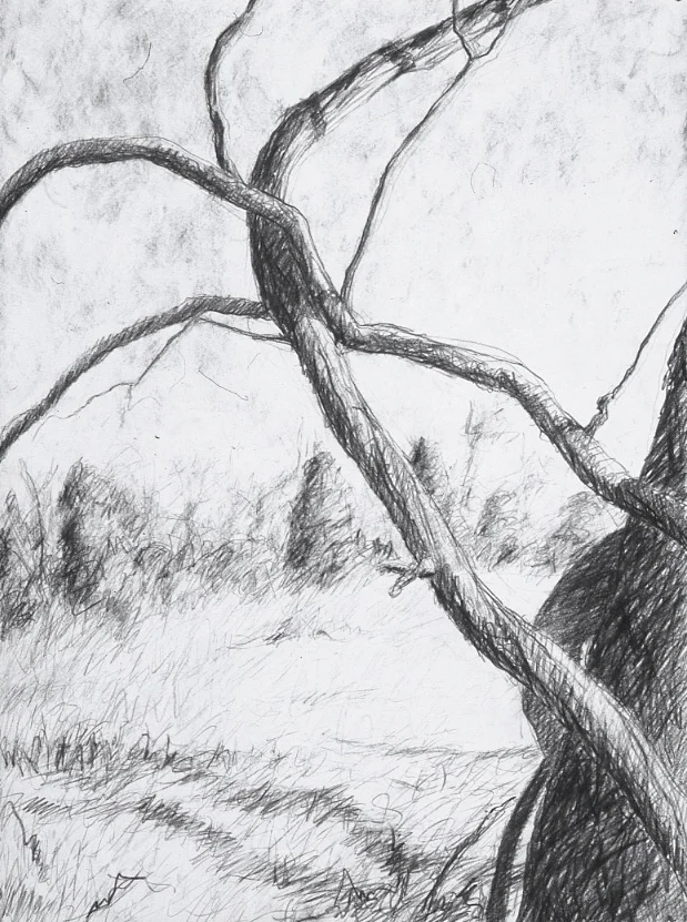 Landscape conte 30x22" March-May 1995