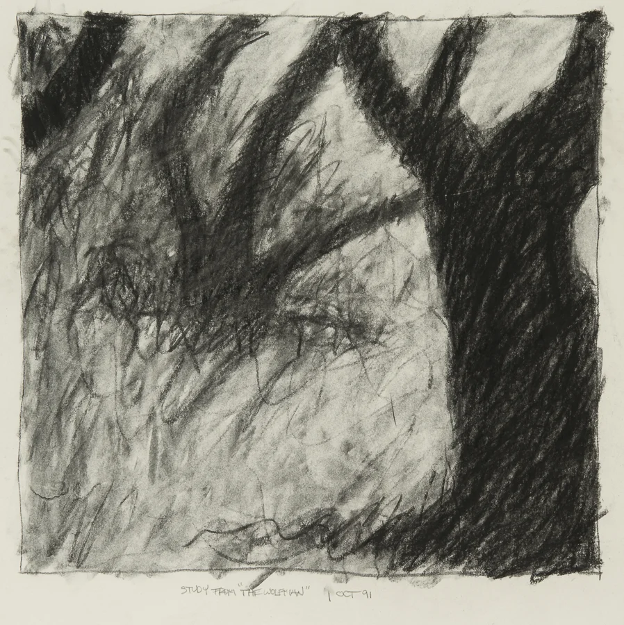 Study After "The Wolfman" charcoal 24x17" 1 Oct 1991