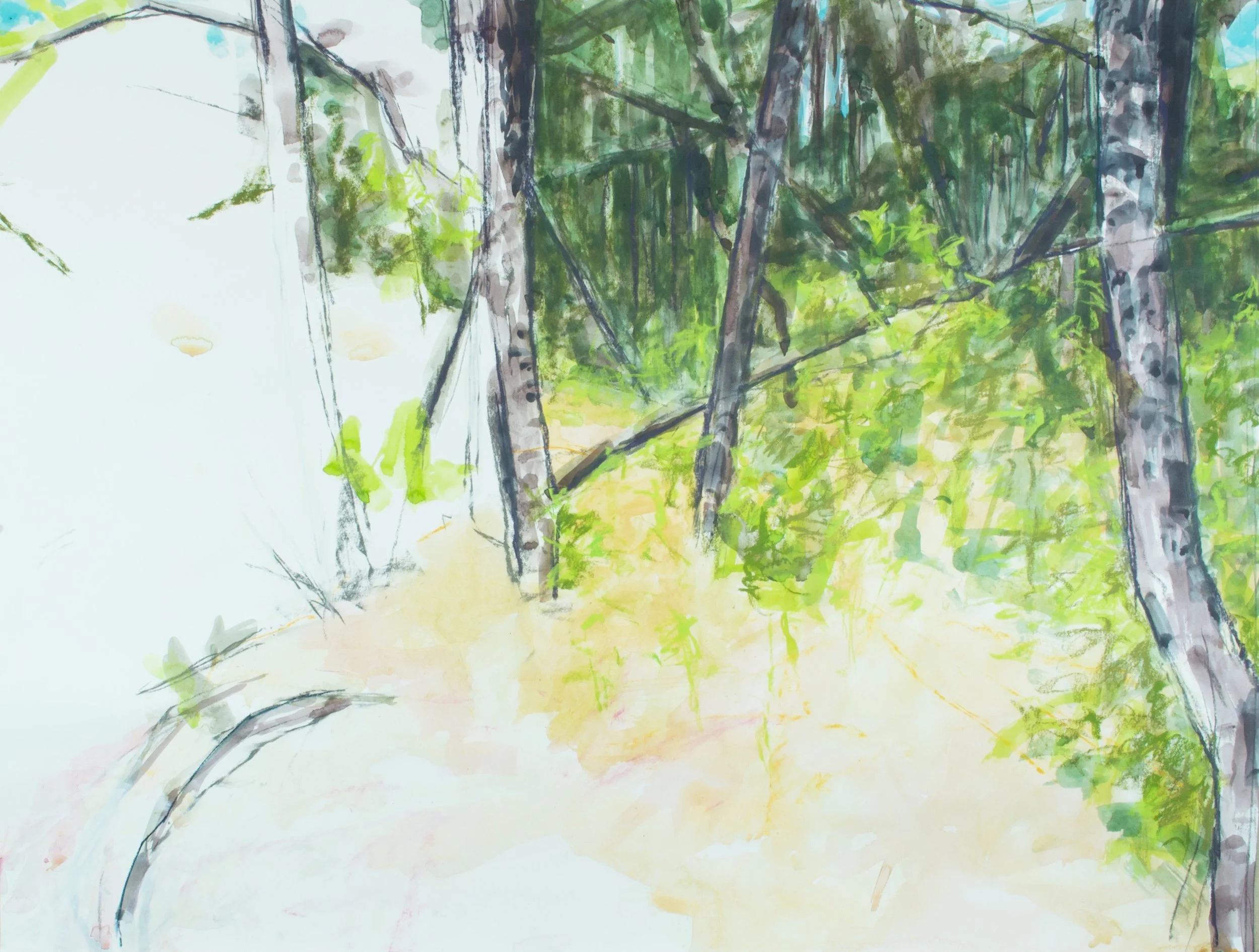 Pine Barrens, Tabernacle gouache/pastel 30x39.5" 12 Oct 21