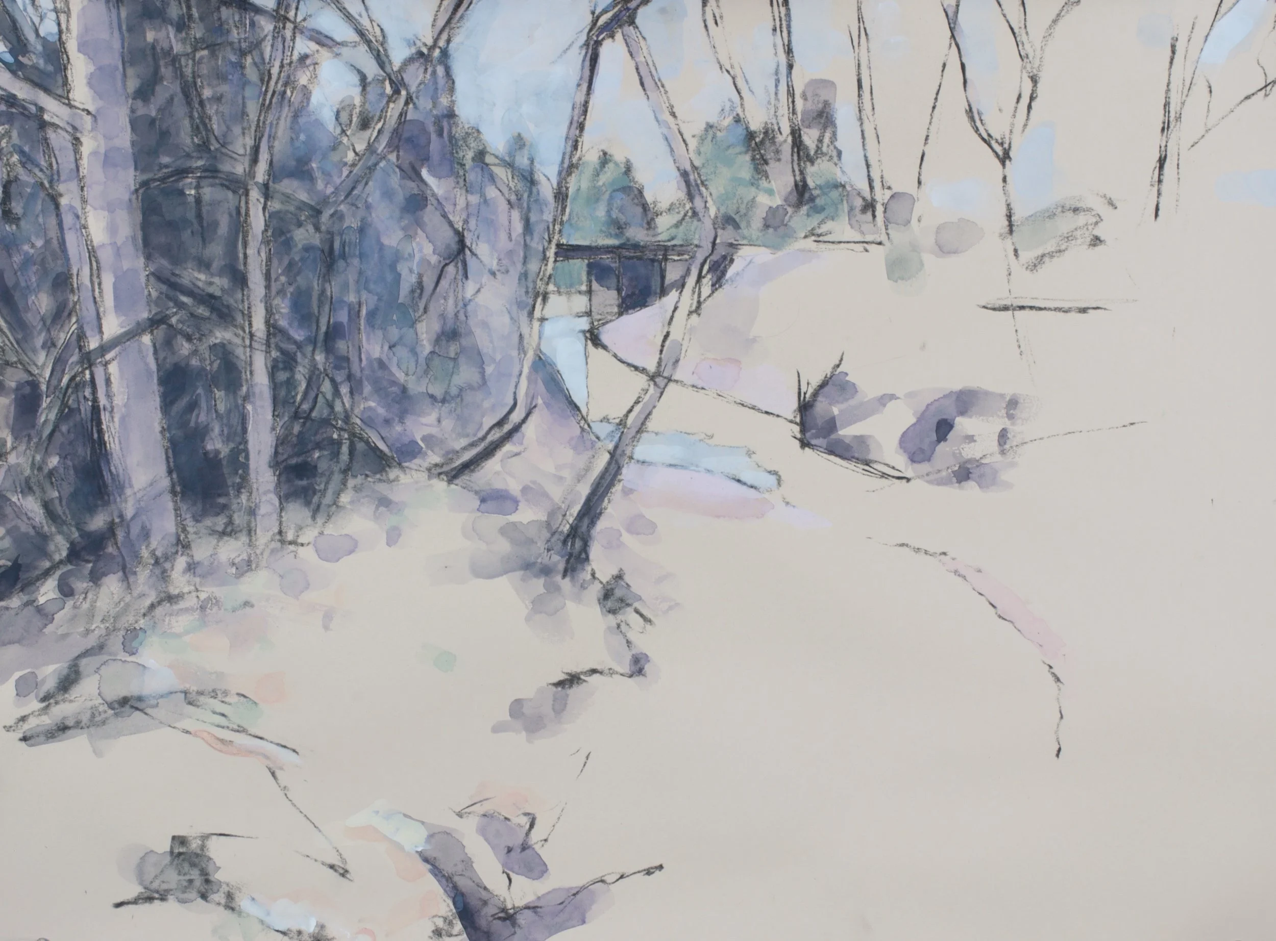 Little Telico gouache/charcoal 22x30 2020