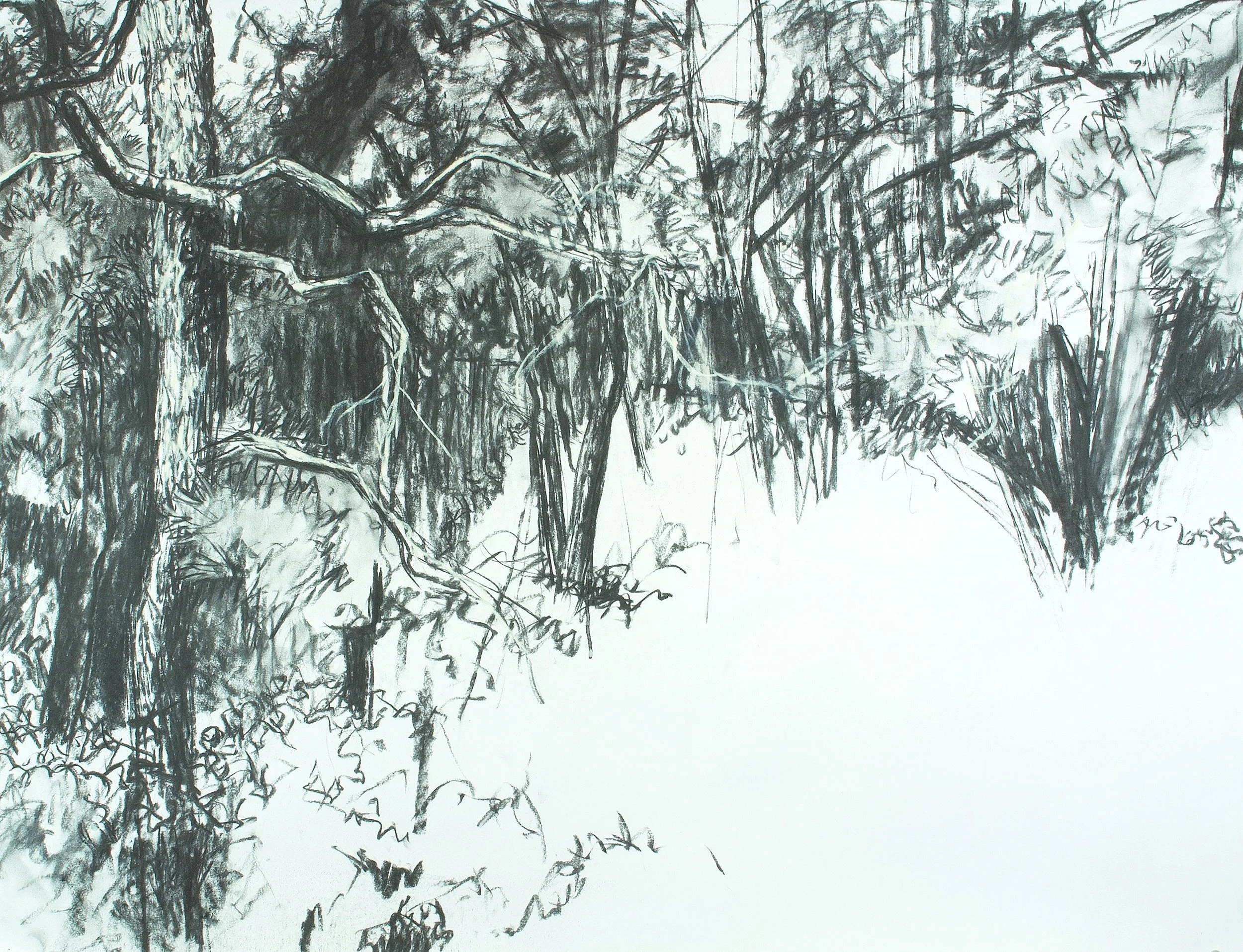 Pinelands, Tabernacle charcoal/Nupastel 30x40 21 Oct 21
