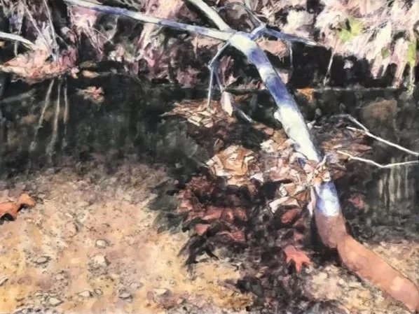 Scott's Creek, gouache, charcoal, pastel, 30x40" 2024