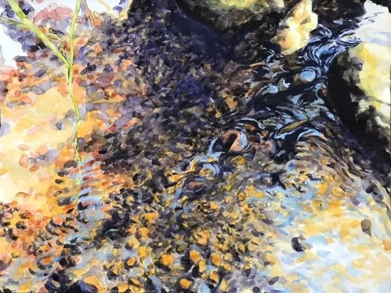 Scott's Creek, gouache/pastel/charcoal,30x39.75", 23 April 24
