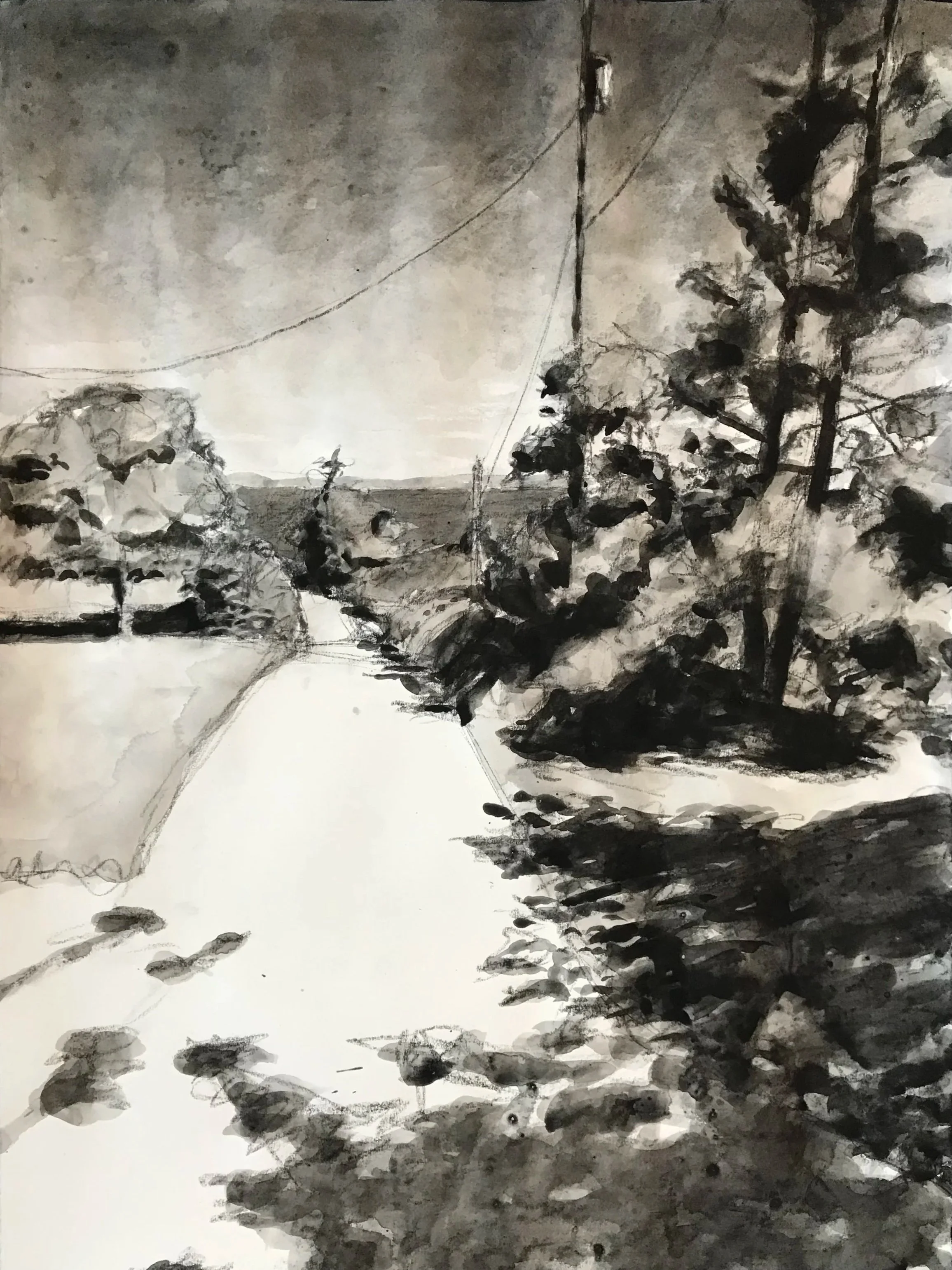 Bristol, Maine, gouache/charcoal, 30x22", 25 October 24