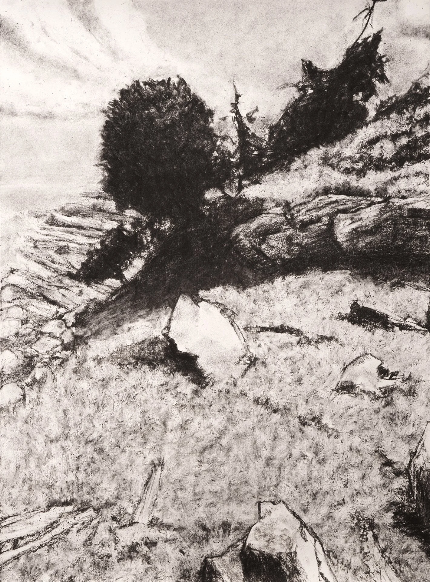Bristol, Maine charcoal 30x22" 2 Feb 26