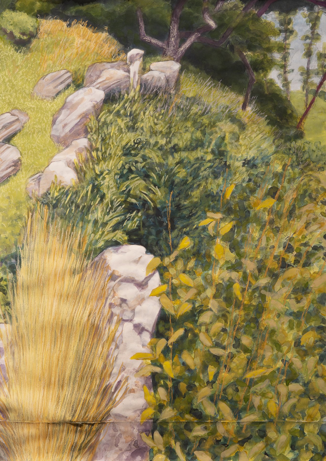 Bristol, Maine gouache/pastel/pencil 35x24.75" 29 March 26