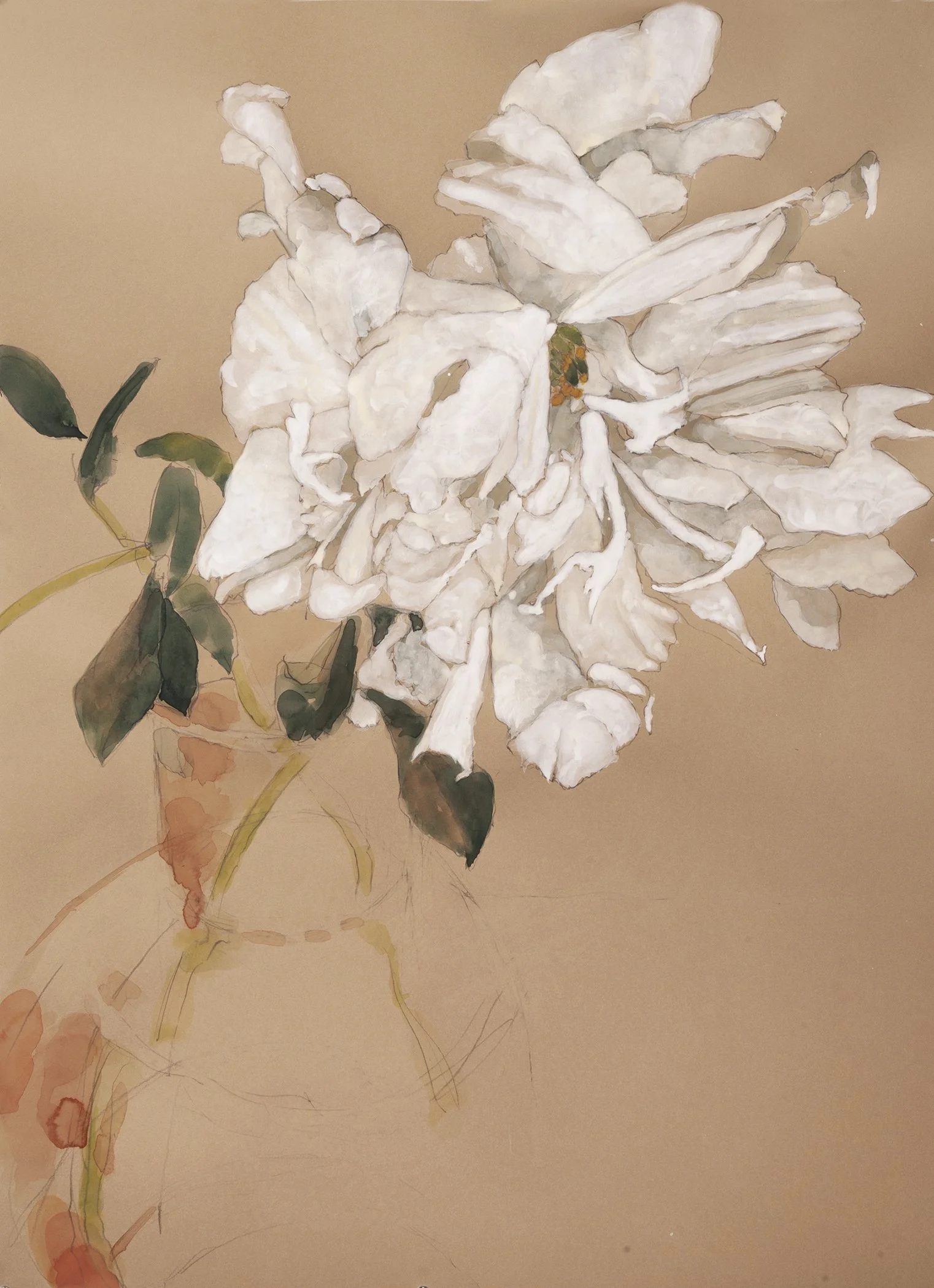 Peony watercolor/pencil 30x22" 10 May 26