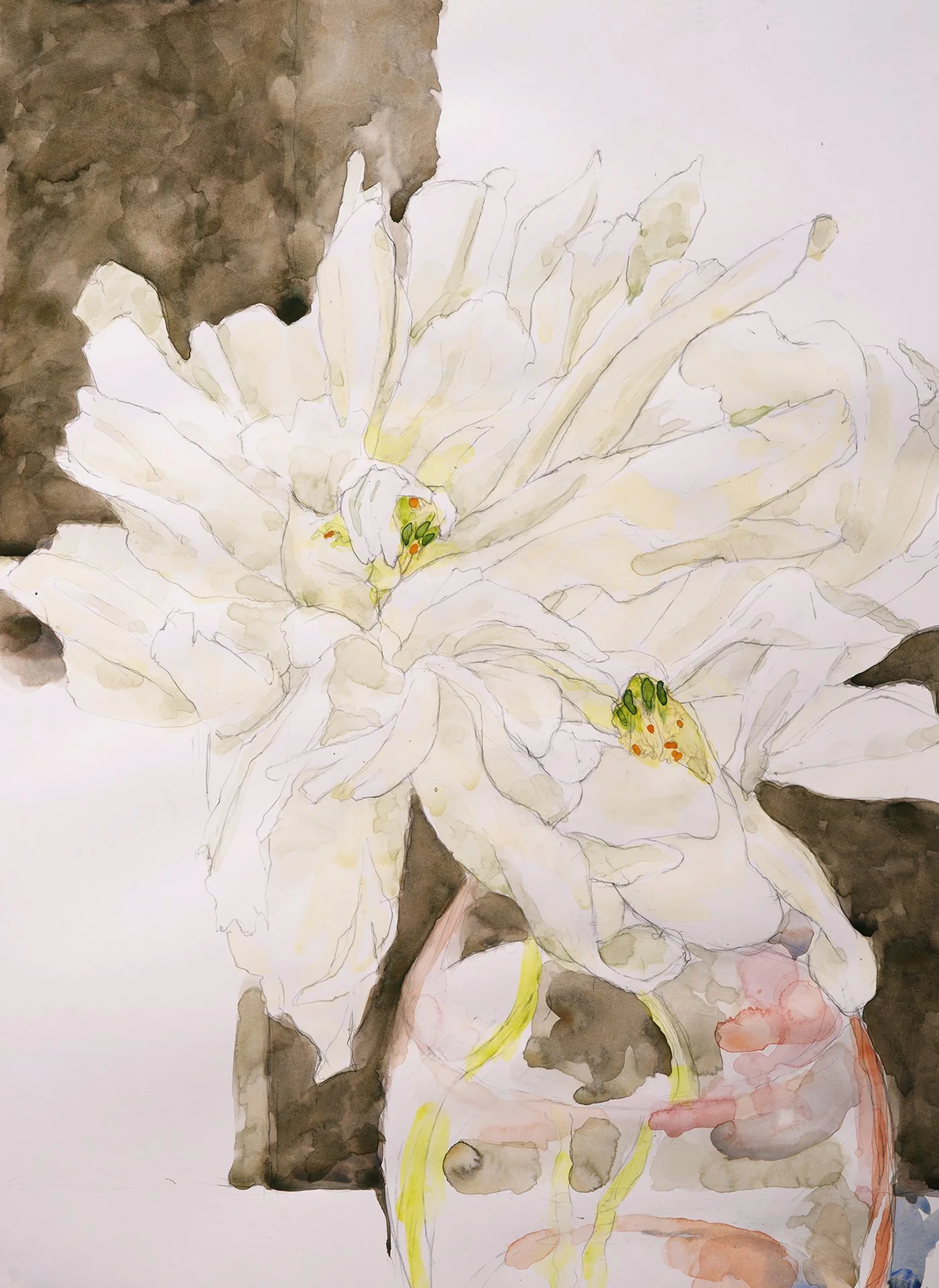 Flower watercolor/pencil 30x22" 6 May 26